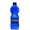 Acqua Naturale 0,5 L.